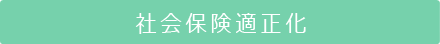 社会保険適正化